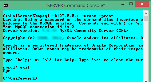 Server Console